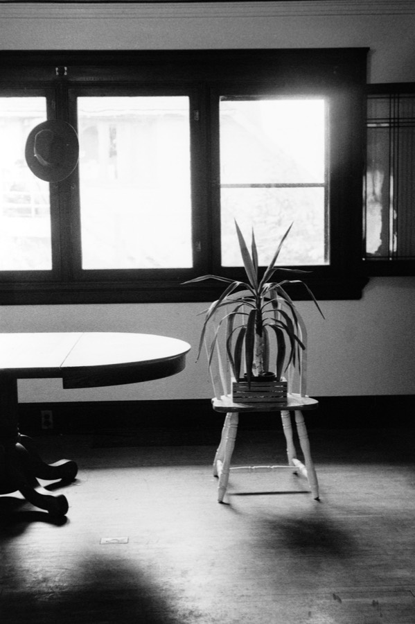 Archival film scan 3 from the Lars Jacobson Collection