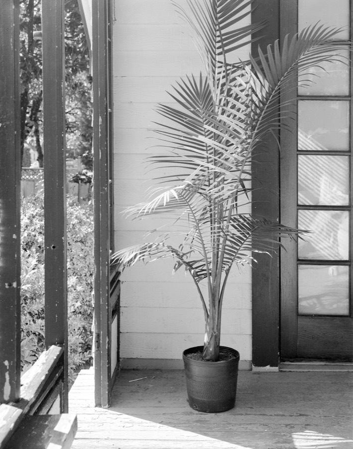 Archival film scan 8 from the Lars Jacobson Collection