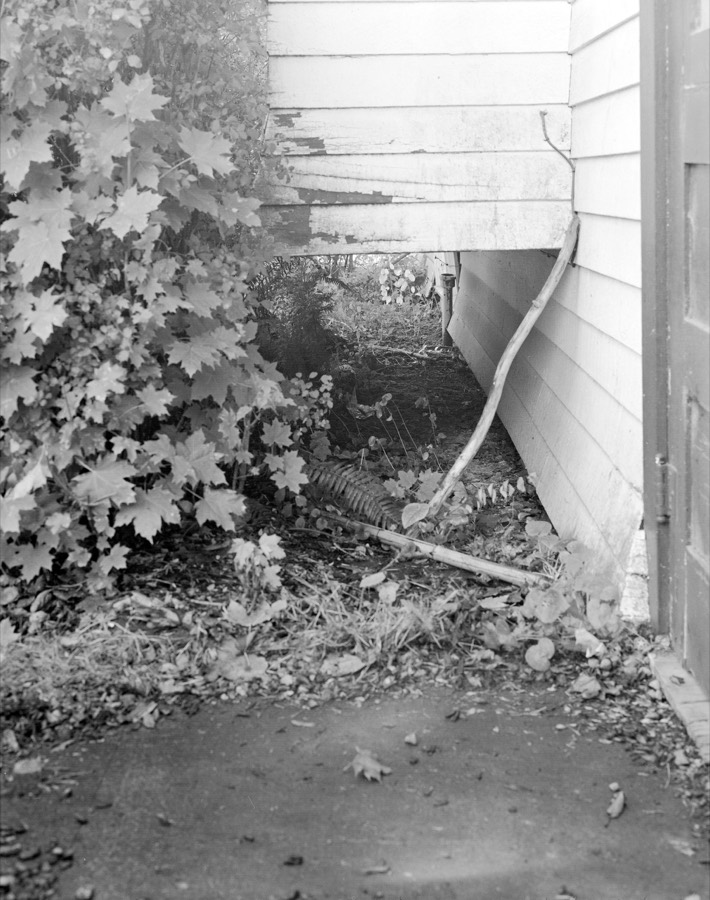 Archival film scan 7 from the Lars Jacobson Collection