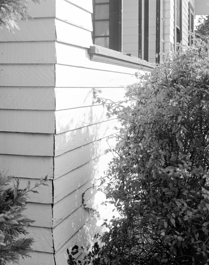 Archival film scan 6 from the Lars Jacobson Collection